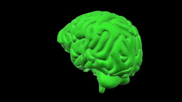 Opakování animace mozek drátový model 04 — Stock video