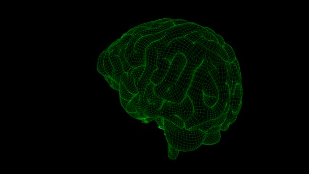 Looping animação de cérebro de wireframe 20 — Vídeo de Stock