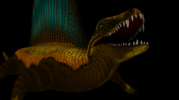 无缝循环的 dimetrodon 动画 3 — 图库视频影像