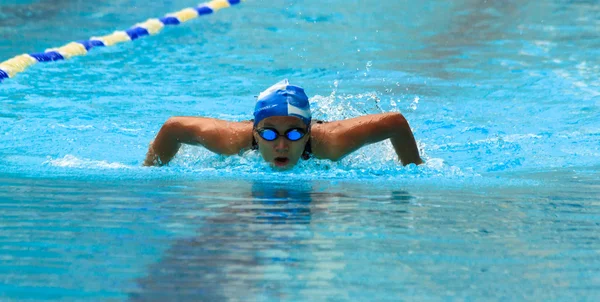 Swimming contest — Stock Photo, Image