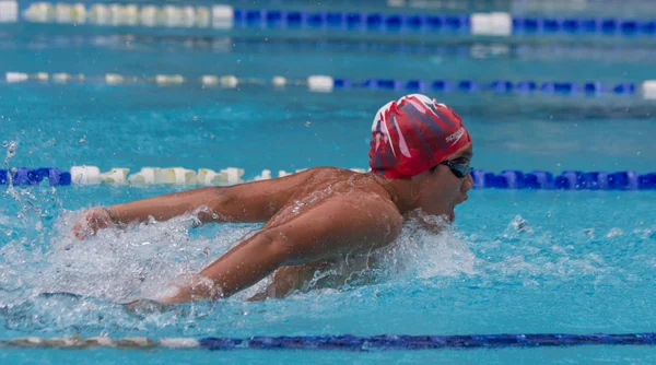 Swimming contest — Stock Photo, Image