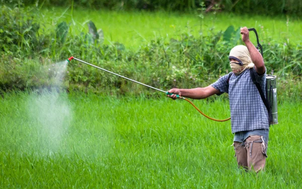 Pesticida pulverizador Fotos De Bancos De Imagens