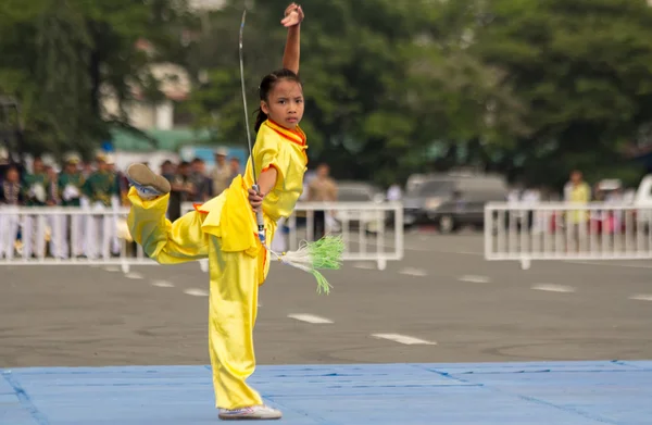 Wushu deskundigen — Stockfoto