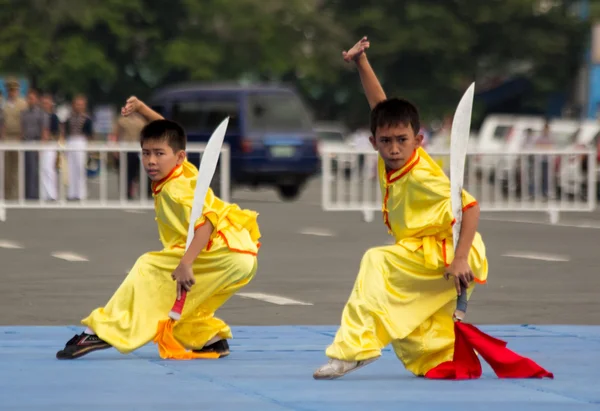 Wushu Experten — Stockfoto
