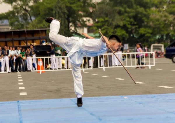 Ekspertów Wushu — Zdjęcie stockowe