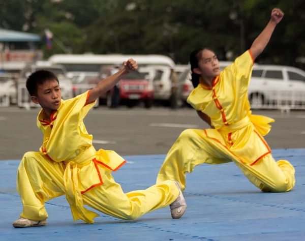 Wushu Experten — Stockfoto