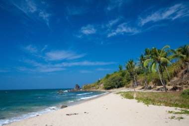 west coast myanmar üzerinde mavi gökyüzü karşı sallanan Hindistan cevizi ağaçları ile güzel güneşli bir plaj.