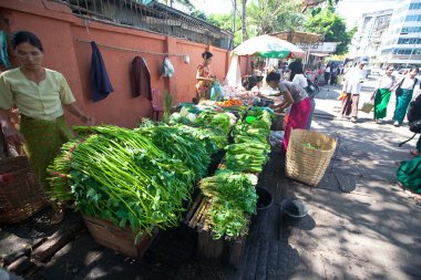 Myanmar 2010. yol kenarındaki sebze tezgahlarda taze ürünler satan yangon, myanmar sokaklarında ortak bir görüş vardır..