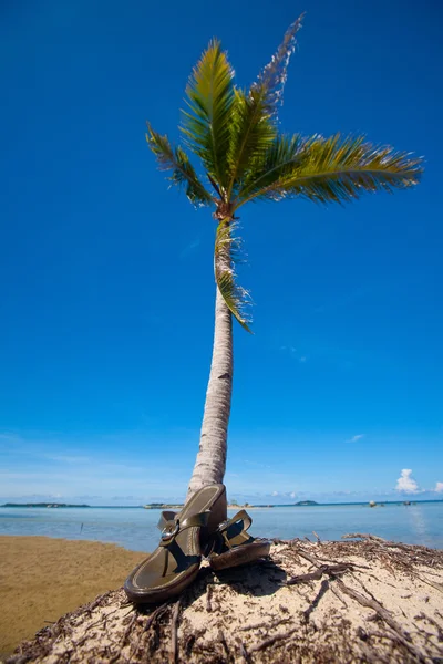 Strand schoenen onder de palm — Stockfoto