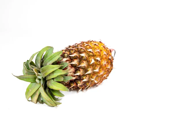 Isolated ripened fresh pineapple — Stock Photo, Image