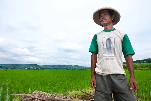 JOGJAKARTA INDONESIE 15 MAI. L'Indonésie est actuellement le quatrième producteur mondial de riz. Un fermier regarde sa rizière, le 15 mai 2010 — Photo
