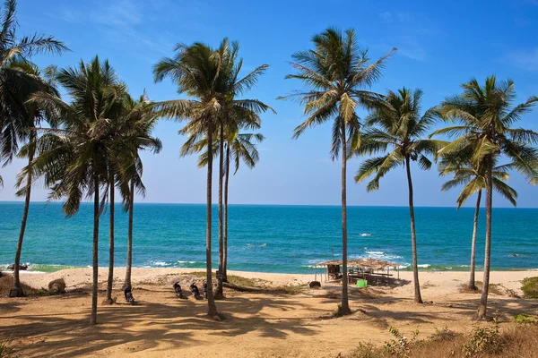 Línea de árboles de cococut a lo largo de una playa de arena contra cielos azules en la costa oeste de Myanmar . —  Fotos de Stock