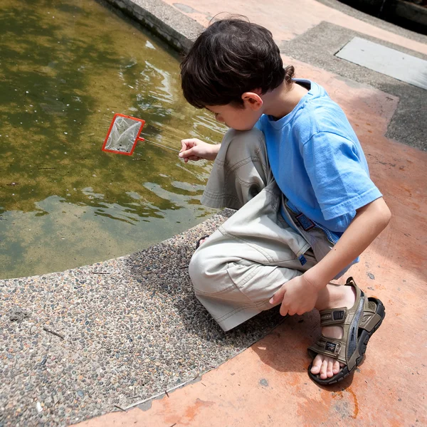 Young boy enjoying an activity of catching small fish in pond with net. — Stock Photo, Image