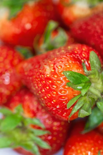 Delicious fresh ripened strawberries in a white bowl. — Stock Photo, Image