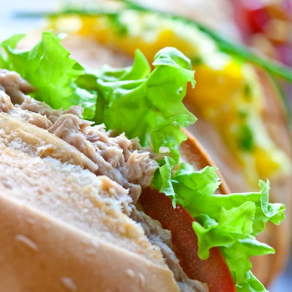 Assorted sandwich rolls with egg, tuna and salad — Stock Photo, Image