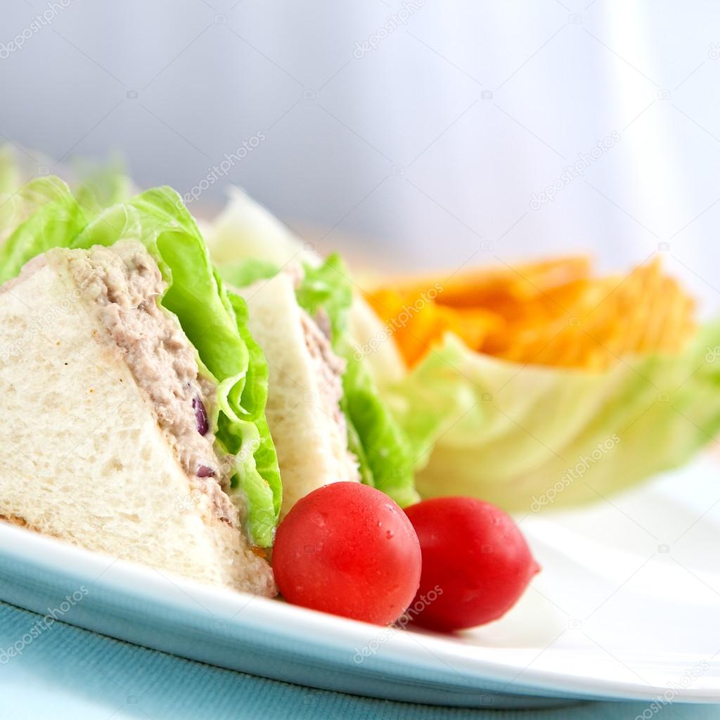 Tuna sandwich with salad and tomato