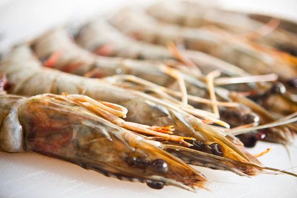 Langostino tigre fresco y grande aún con cáscara — Foto de Stock