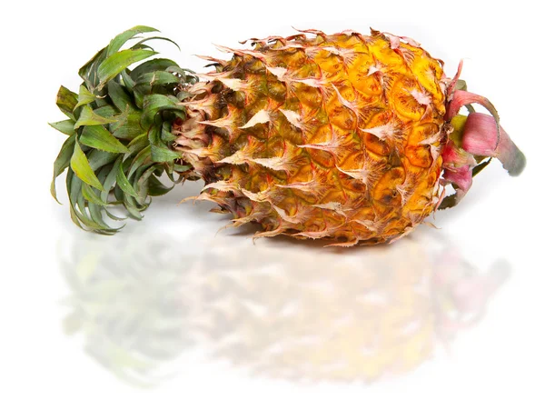 Whole juicy pineapple still in it's shell — Stock Photo, Image