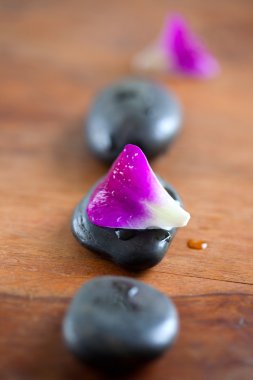 Orkide yaprakları ile Spa taşlar