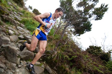 Katılımcılar mt kinabalu uluslararası climbathon, yukarı çık.