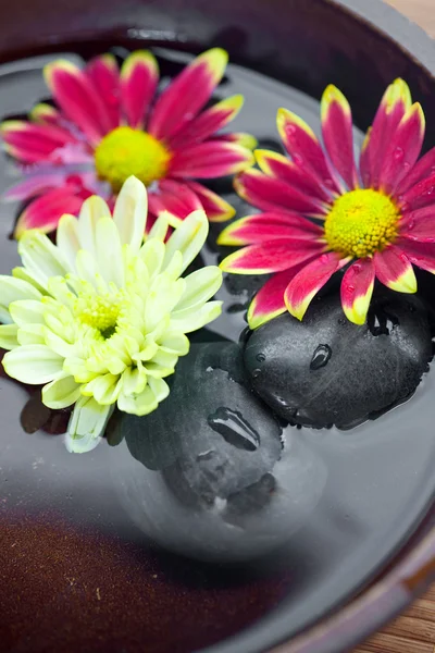 Ajuste de spa con piedras calientes con crisantemo y tazón de agua . —  Fotos de Stock