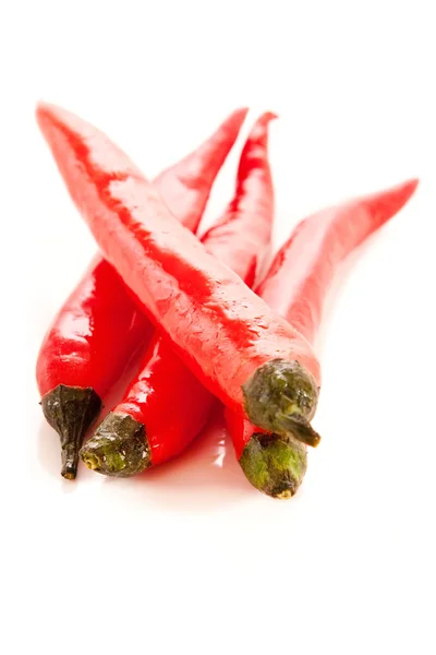En gjeng røde chilipepper på hvit – stockfoto