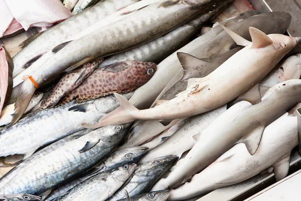Montes de peixe no mercado dos peixes húmidos — Fotografia de Stock
