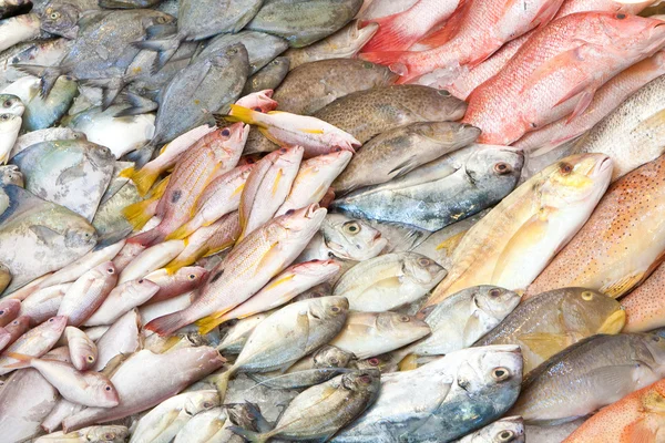 Montes de peixe no mercado dos peixes húmidos — Fotografia de Stock