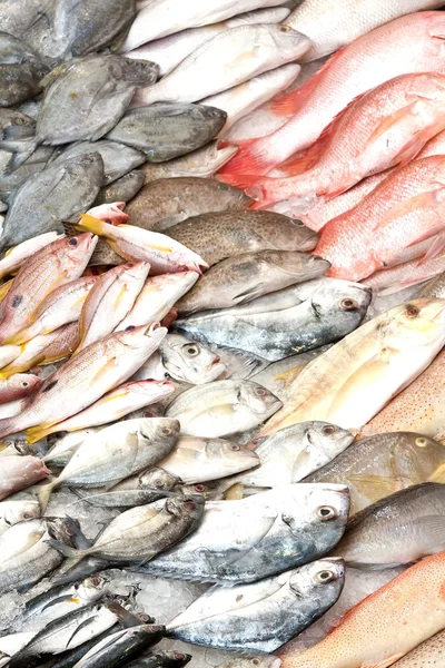Montes de peixe no mercado dos peixes húmidos — Fotografia de Stock