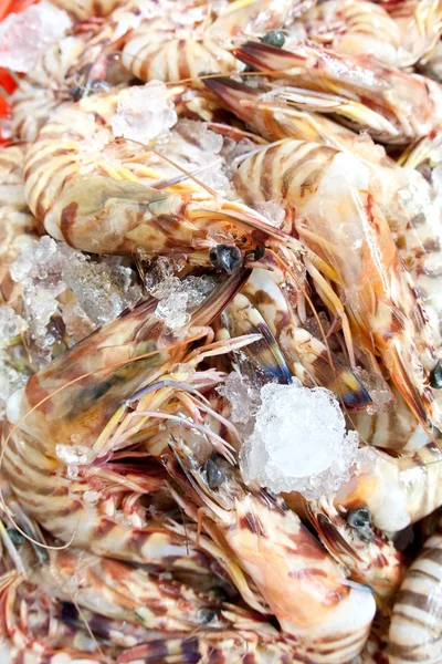 Montón de gambas tigre en hielo en un mercado húmedo — Foto de Stock