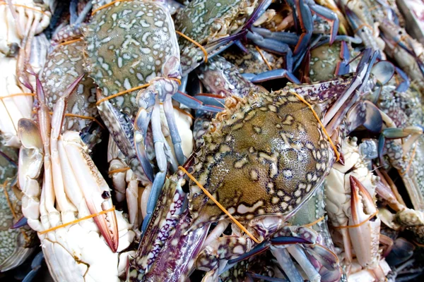 Un mucchio di granchio blu in un mercato bagnato — Foto Stock