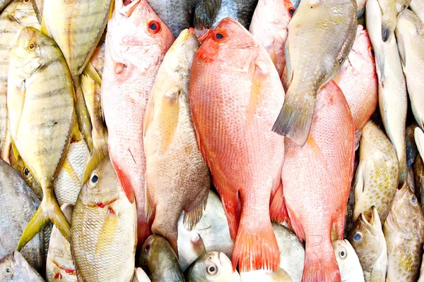 Un mucchio di pesce fresco in un mercato bagnato — Foto Stock