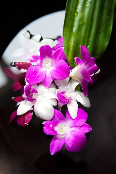 Thérapie spa avec orchidées et pierres chaudes — Photo