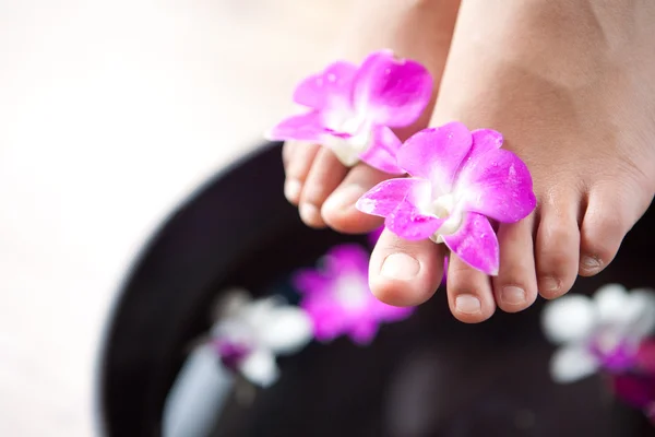 Vrouwelijke voeten in orchid spa kom — Stockfoto