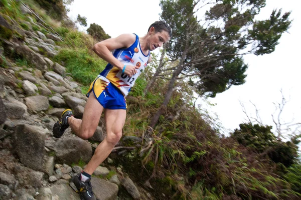 Participants climb up Mt Kinabalu in the International Climbathon — Stock Photo, Image