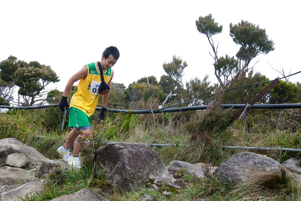 Participants climb up Mt Kinabalu in the International Climbathon — Stock Photo, Image