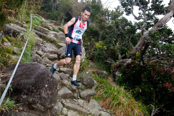 Participants climb up Mt Kinabalu in the International Climbathon — Stock Photo, Image