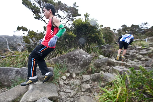 Participants climb up Mt Kinabalu in the International Climbathon — Stock Photo, Image