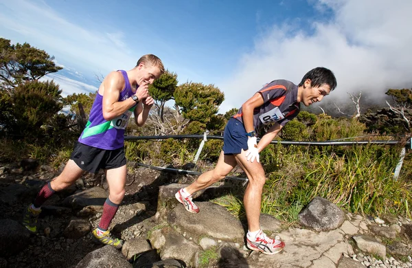 Deltagarna klättra upp mt kinabalu i den internationella climbathon — Stockfoto