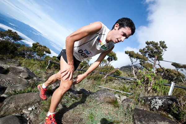 Vinnare av herrarnas händelsen, kilian jornet burgada — Stockfoto