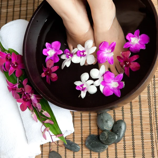 Vrouwelijke voeten in orchid spa kom met hete stenen Stockfoto