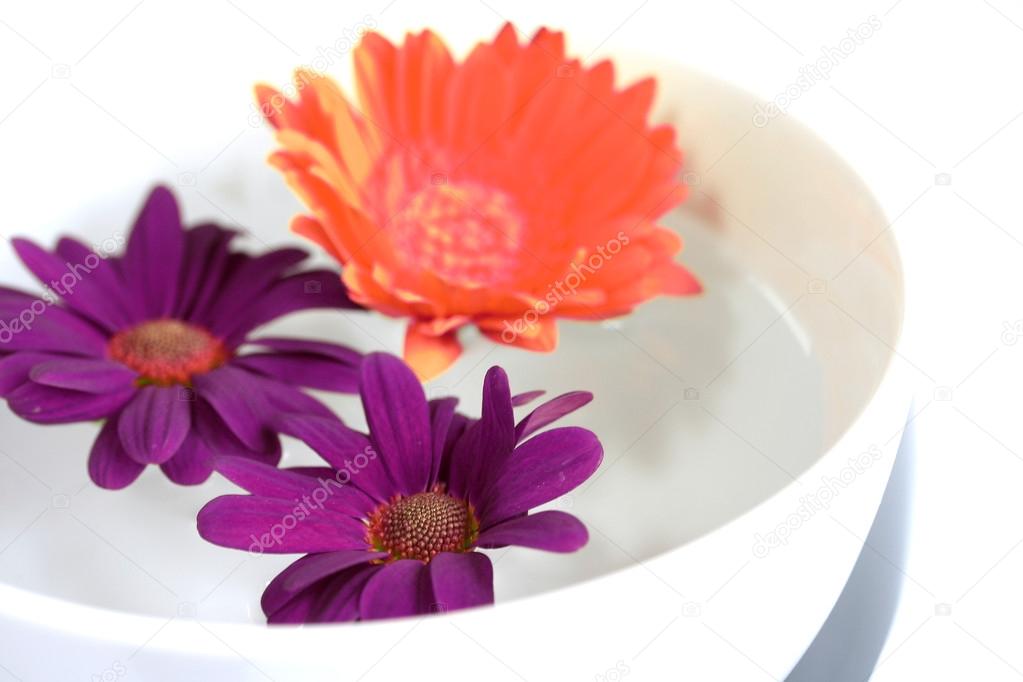 Red chrysanthemums floating in a bowl of water ready for a spa treatment