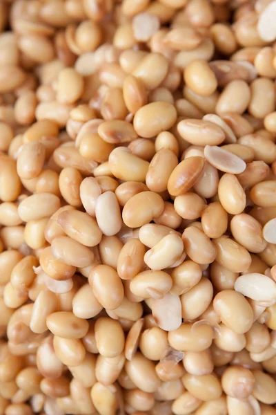 Closeup de soja fresca — Fotografia de Stock