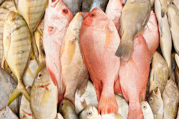Primo piano del pesce fresco sul mercato bagnato — Foto Stock
