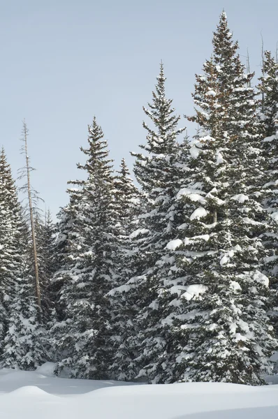 Grand mesa üzerinde kar — Stok fotoğraf