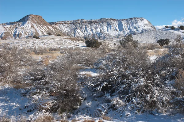 Östra infarten colorado nationalmonument — Stockfoto