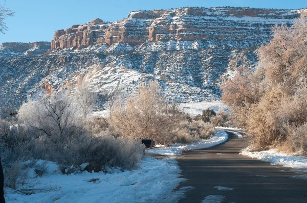 Wildwood Drive in inverno Foto Stock