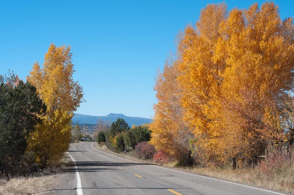 Vega lake Road — Stok fotoğraf