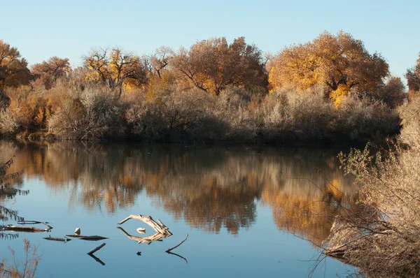 Lago de Otoño — Foto de Stock