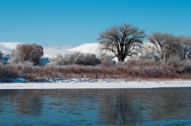 colorado nehir kenarında kar